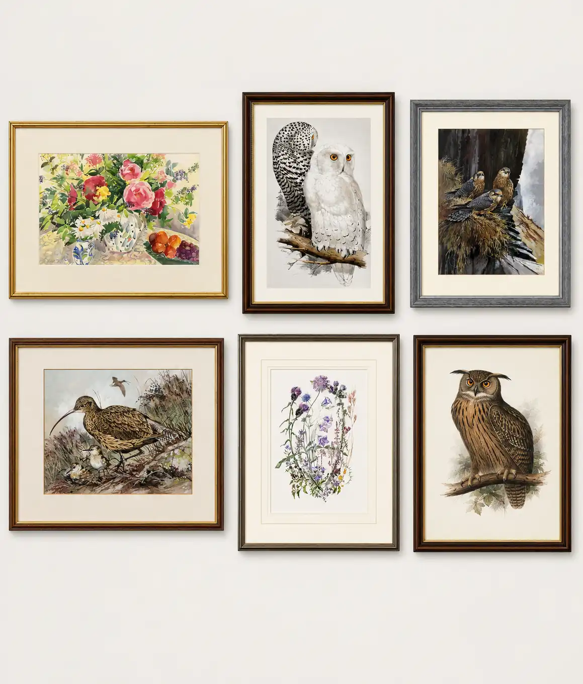 Framed Pictures