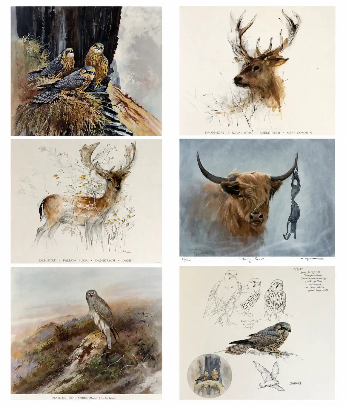 Unframed Pictures